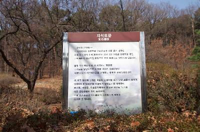 성남 도촌동 지석묘군 12