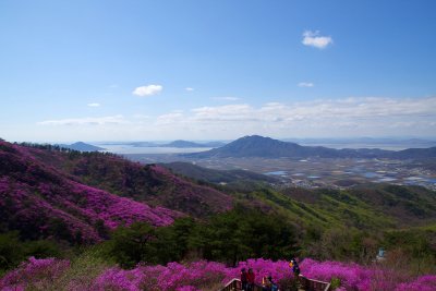 강화 고려산 봄맞이 산행 - 전망대 14