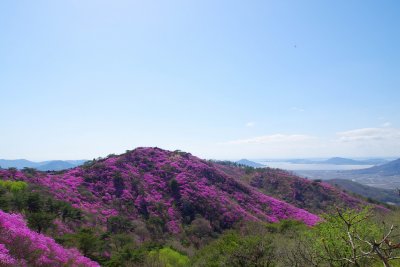 강화 고려산 봄맞이 산행 - 전망대 18