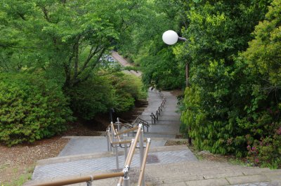 이나사야마 공원 12