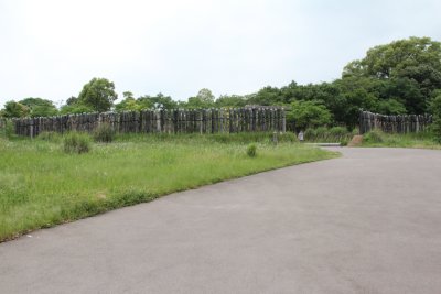 요시노가리 유적공원 04