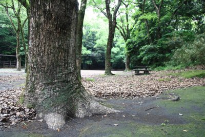 시로야마 공원 02