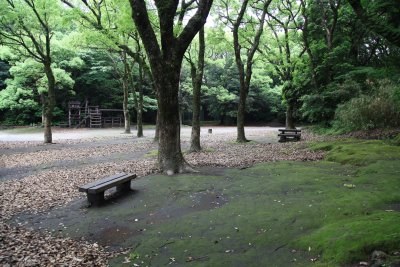 시로야마 공원 08