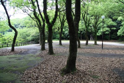 시로야마 공원 09