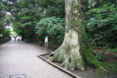 시로야마 공원 05
