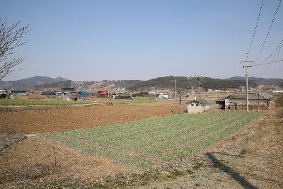 수현마을 14