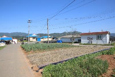 농장마을 11