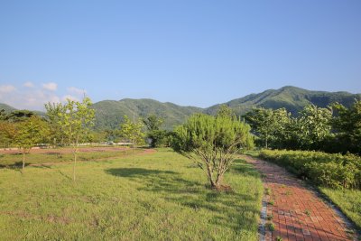 정천초등학교터 공원 13
