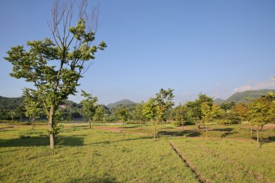 정천초등학교터 공원 14