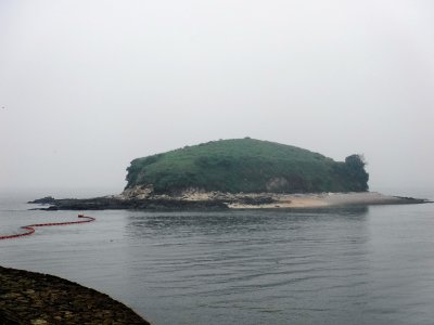 시화호 조력발전소 주변의 작은 섬 09