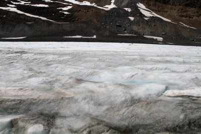 컬럼비아 아이스필드 빙하체험 - 빙하 가는 길 11