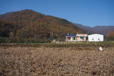 김용마을 16