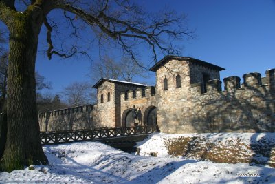 잘부르크 로마의 요새