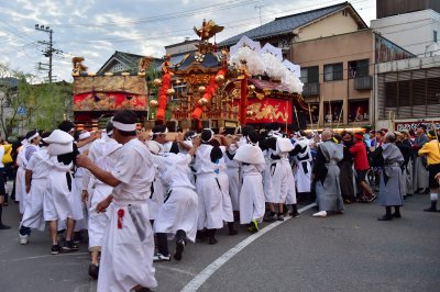 기노사키온천 축제 14