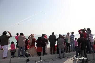 카타르 국경일 축제 09