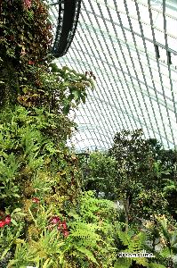 센트럴 식물원 플라워 돔 10