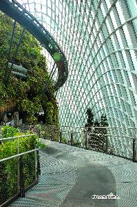 센트럴 식물원 플라워 돔 11