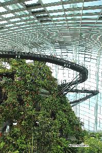 센트럴 식물원 플라워 돔 13