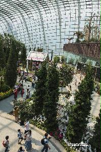 센트럴 식물원 플라워 돔 12