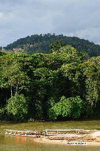 타만네가라 국립공원 13