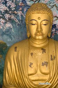 버마 불교 사원 14