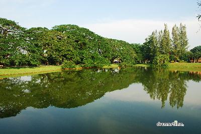타이핑 호수 공원 12