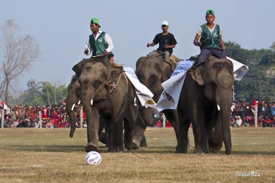 2013 치트완 코끼리 축제, 축구경기 01