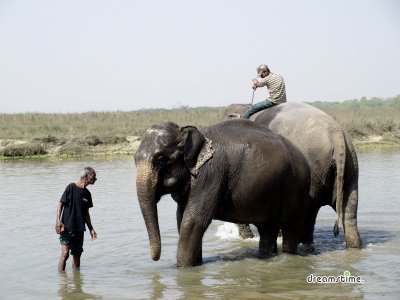 치트완 국립공원 코끼리 목욕 08