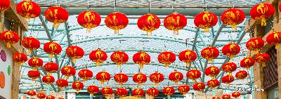 아웃램의 중국 새해 기념 09