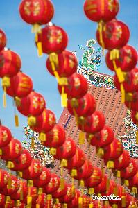 아웃램의 중국 새해 기념 10