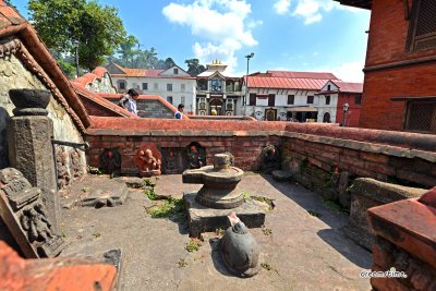 파슈파티나트 힌두사원 (유네스코 문화유산) 12