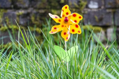 룩셈부르크의 봄의 꽃 01
