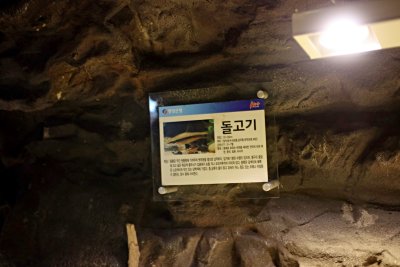 동굴형민물고기전시관 07