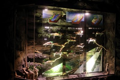 동굴형민물고기전시관 11