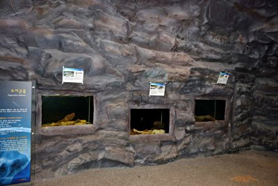 동굴형민물고기전시관 12