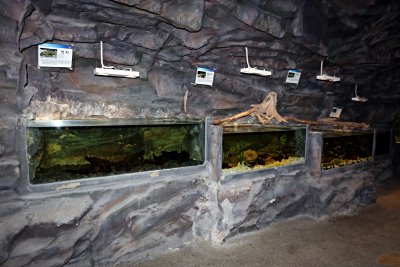 동굴형민물고기전시관 14