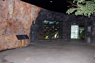 동굴형민물고기전시관 15