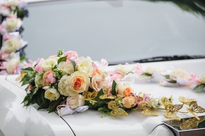 결혼식용 승용차 19