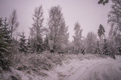 할덴 숲의 겨울 풍경 04