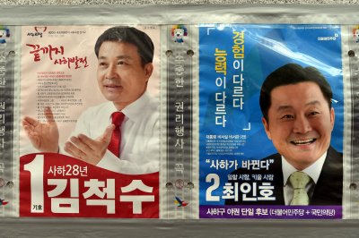 20대 국회의원 선거구 부산시 사하구 갑 05