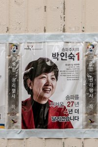 2016 국회의원총선거 - 송파구 갑 13
