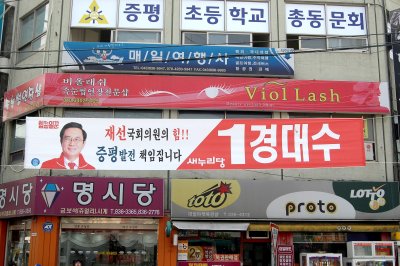 20대 국회의원선거 충북 증평 진천 음성 선거구 13