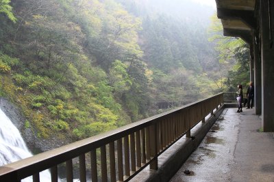 오쿠쿠지현립 자연공원 13