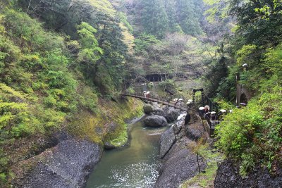 오쿠쿠지현립 자연공원 15