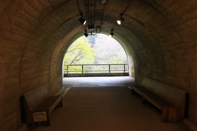 오쿠쿠지현립 자연공원 08