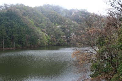 하나조노·하나누키현립자연공원 02