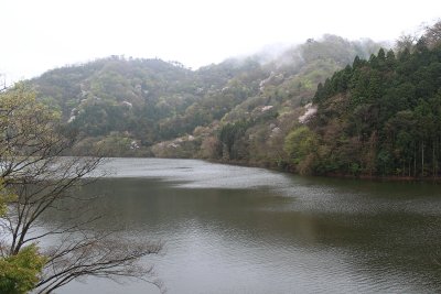 하나조노·하나누키현립자연공원 03