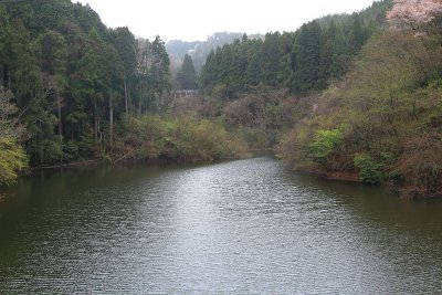 하나조노·하나누키현립자연공원 11