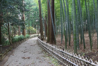 미토현립자연공원 가이라쿠엔 산책로 04