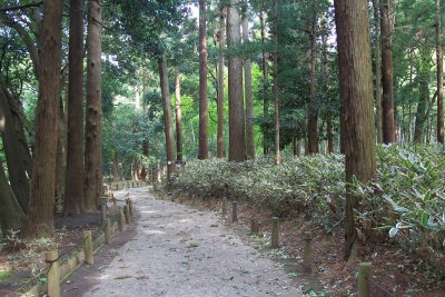 미토현립자연공원 가이라쿠엔 산책로 06